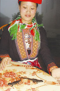 Một loài cá quý đang bị tận diệt