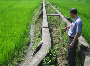 Công trình thuỷ nông hồ Gò Miếu: Hiệu quả nửa vời