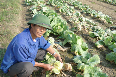 T.P Thái Nguyên: Hỗ trợ gần 300 triệu đồng khắc phục hậu quả mưa lũ