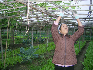 Trung Na 2 xây dựng xóm văn hoá