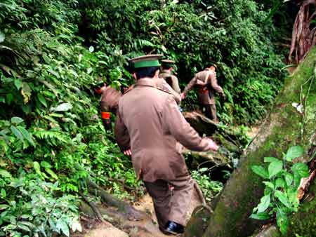 Bắt giữ 2 vụ vận chuyển ma túy tổng hợp thu 12.000 viên hồng phiến