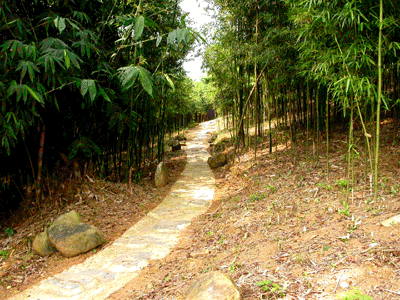 Du lịch đồng quê dưới chân núi Tản