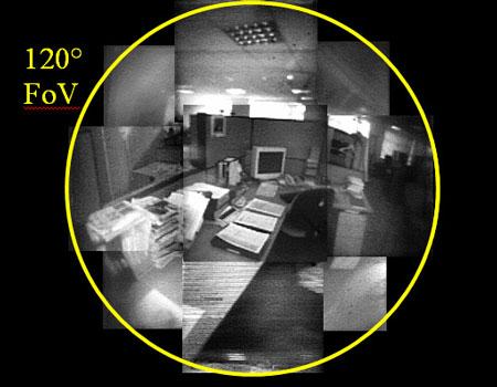 Thu nhỏ camera nhờ mắt côn trùng