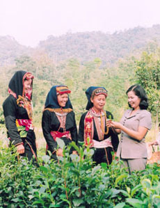 Mỗi phụ nữ nghèo là một địa chỉ cần giúp đỡ