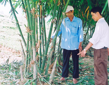 Trên 2.000 hội viên nông dân thoát nghèo