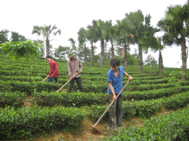 Chuyển dịch cơ cấu kinh tế ở Động Đạt